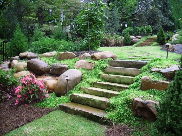 Backyard Idea Landscaping Garden